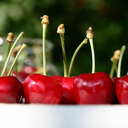 I Calleri Garden And Rooms Millesimo Εξωτερικό φωτογραφία