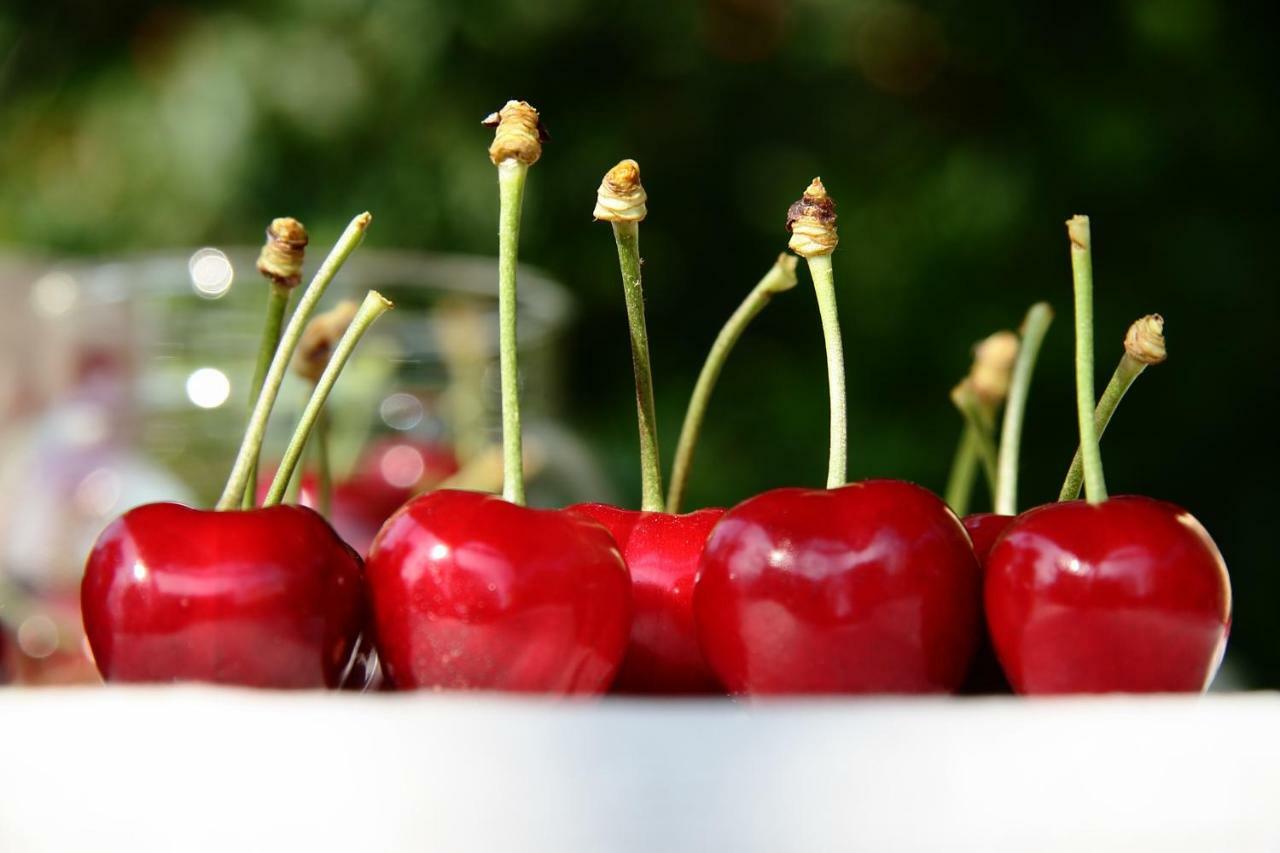 I Calleri Garden And Rooms Millesimo Εξωτερικό φωτογραφία